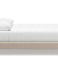 Cielden Upholstered Bed with Roll Slats