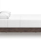 Pamytta Bed