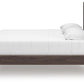 Pamytta Bed