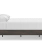 Shaehartin Bed