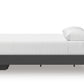 Zuraleus Bed
