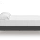 Zuraleus Bed