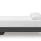 Zuraleus Bed