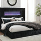Tayleena Bed