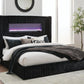Tayleena Bed