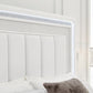 Chalanna Upholstered Storage Bed