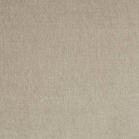 Warm Gray