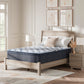 Plush Luxe 2.0 Mattress