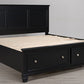 Lanolee Panel Storage Bed