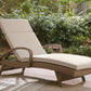 Laguna Heights Chaise Lounge with Cushion